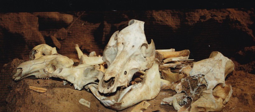 IMG_20190413_0007_NEW